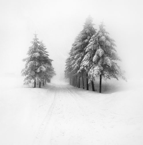 Da qualche parte sta già nevicando